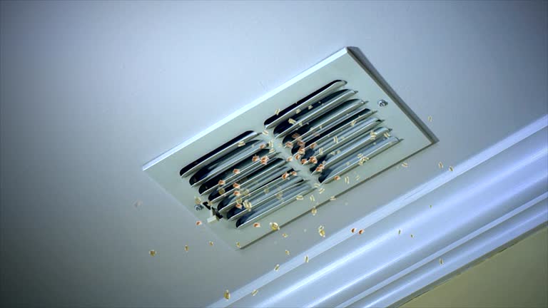 Best Air Duct Sanitizing Services  in Frederic, WI