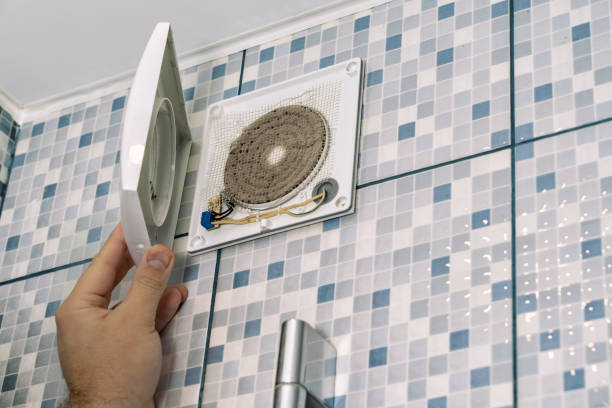 Best Air Duct Mold Removal  in Frederic, WI