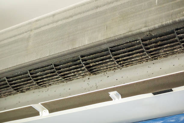 Best Professional Duct Cleaning Services  in Frederic, WI